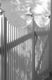 This is the fence right outside our newly wed cottage. I love the way the sun hits it in the afternoon.